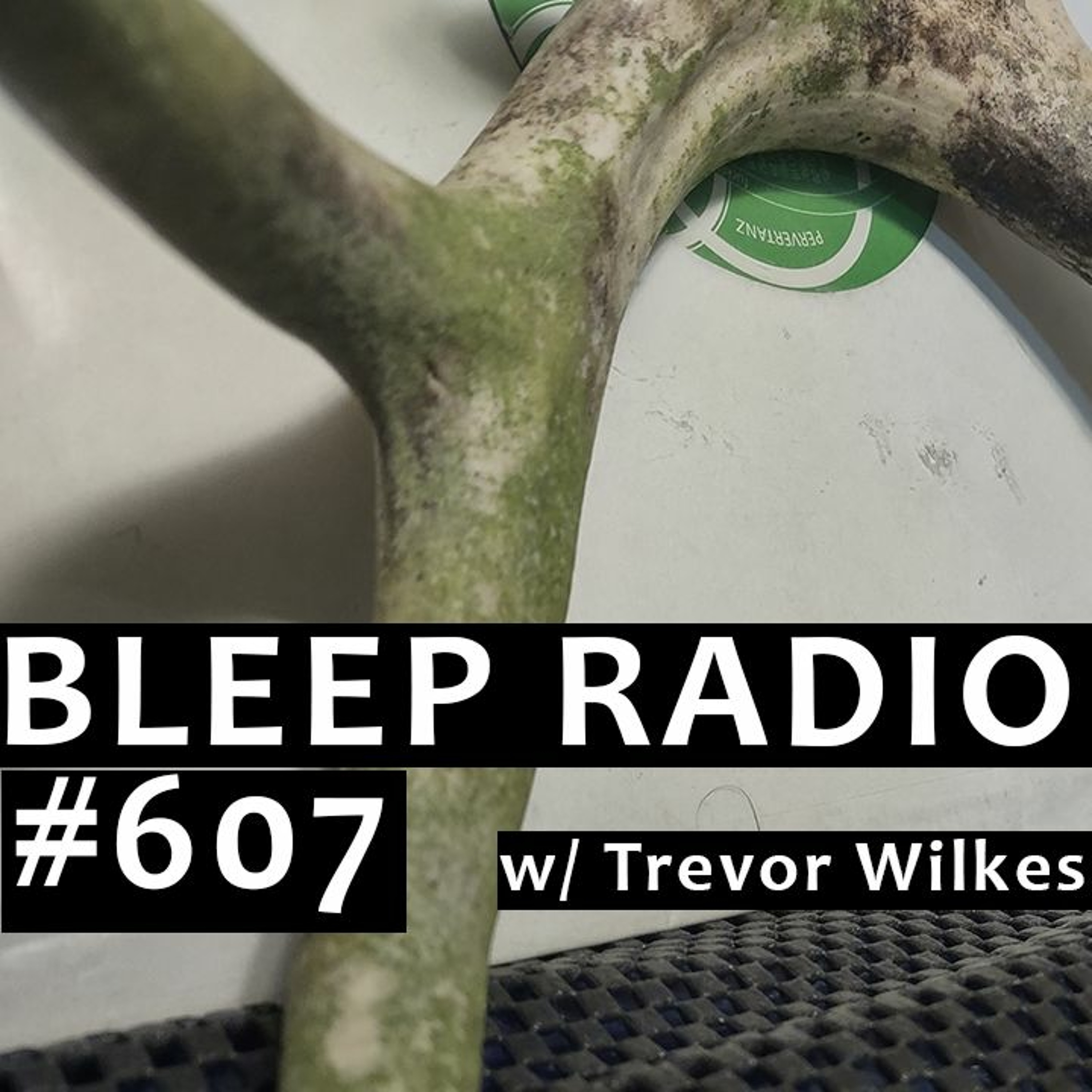 Bleep Radio w/ Trevor Wilkes