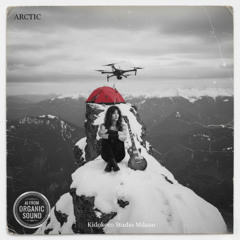 1. Arctic