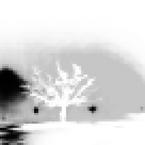 fleurrr w/ petrolmancig (ausuro)