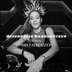 Affenkäfig Saarbrücken