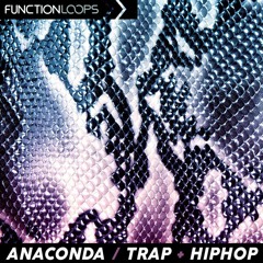 Function Loops - Anaconda - Trap & Hiphop