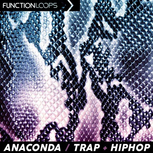 Function Loops - Anaconda - Trap & Hiphop