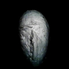 What is that supposed to mean