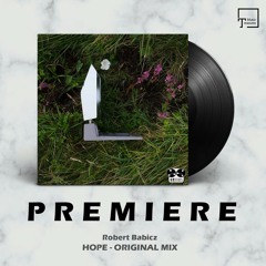 PREMIERE: Robert Babicz - Hope (Original Mix) [DIRTCUTS]
