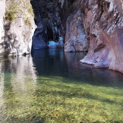 LOOK THE FISH  IN THE RIVER