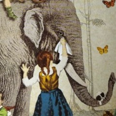 Anari Roots, Dj Effecto - I'm Unbound