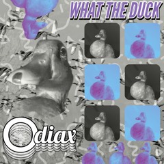 What The DUCK (FREE DOWNLOAD)