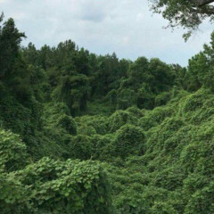 staying grounded freestyle prod. bbuggin