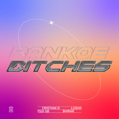 Bankoe Bitches (feat. $hirak)