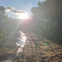 CONCIERTO- STRANGEHUMAN