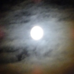 Gotta Blues?  (J.E)  -  premix  -  Joachim Expert piano solo