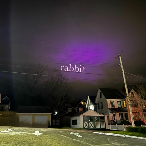 Rabbit (feat. Sarah Paisley)