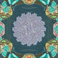 Bloom (with Blackboxx)