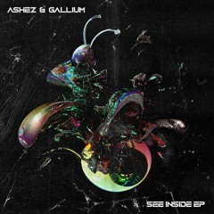ASHEZ X Gallium - Check It [Headbang Society Premiere]