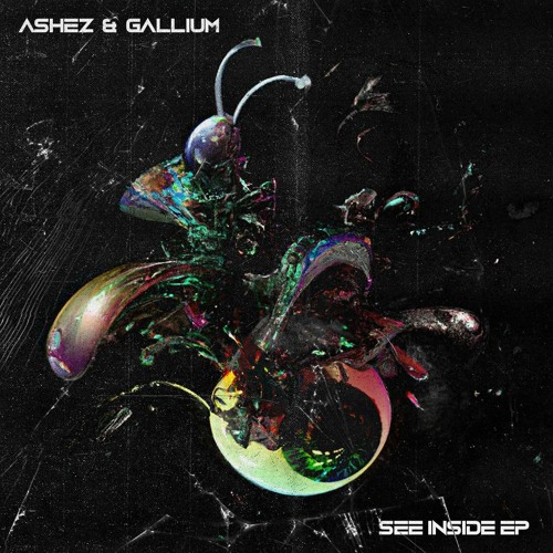 ASHEZ & Gallium - Too Hot