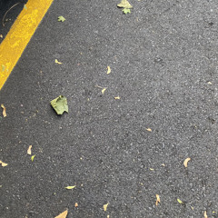 Poseidonxwave - LOVE IS WEIRD V2.m4a