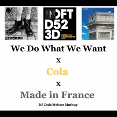 We Do What We Want X Cola X Made in France (DJ Code Meister Mashup) SKIP TO 0:50 [FREE DOWNLOAD]