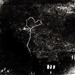 beauty & the beast (prod The Ushanka Boy)