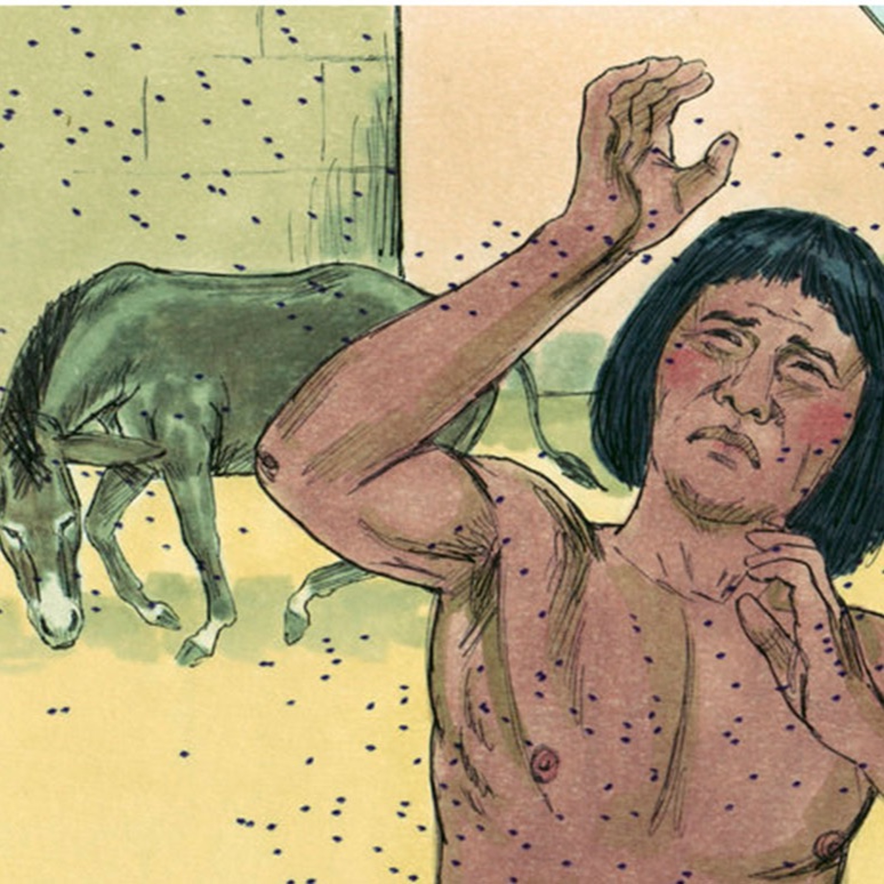 Locusts and Darkness: The Plagues Destroy Egypt, Shock and Awe episode artwork