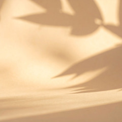 Day 6 - Meditation (#02