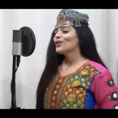 Ar Ar Bojo Hath Palain || Shina New Song || Singers Rashid iqbal Rashid & Nazia Ameen