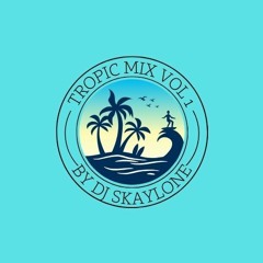 TROPIC MIX VOL 1 BY DJ SKAYLONE (EDITION BIRTHDAY)