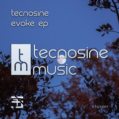 Tecnosine - Evensong [Tecnosine Music]
