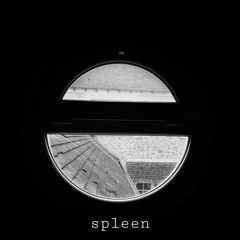 Spleen