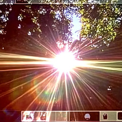 i woke up to the song of the sun_20250318