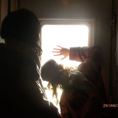 roserold - я сам тебя придумал (@коронован cover)