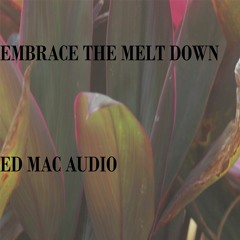 EMBRACE THE MELTDOWN, Performed by ED MacAudio released on MAC AUDIO