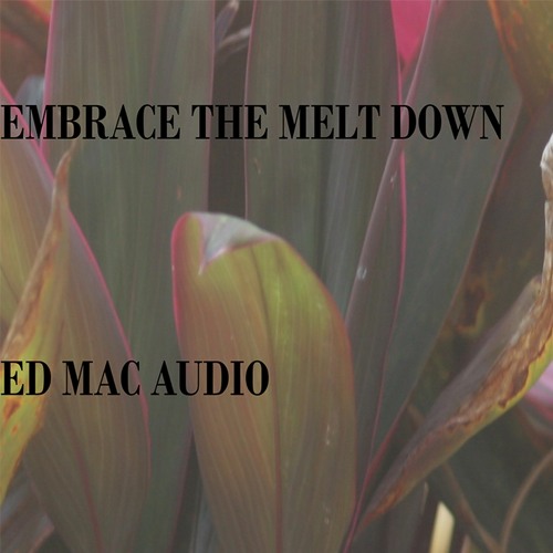 EMBRACE THE MELTDOWN, Performed by ED MacAudio released on MAC AUDIO