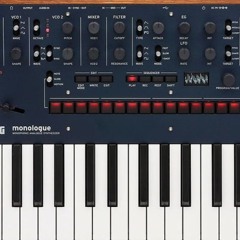 [in-the-night]_apr10.25_korg-monologue-jam(2)