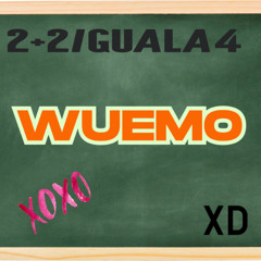 2+2IGUALA4