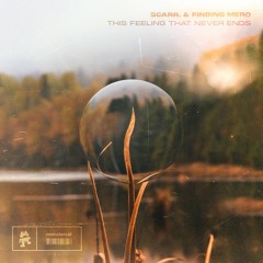 Scarr. & Finding Mero - this feeling that never ends