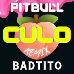 Pitbull x Lil Jon - Culo (Badtito Remix)