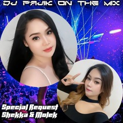 DJ PAJIK - DUGEM MATAHARIKU VS ORANG YANG SALAH SPECIAL REQUEST BY SHEKKA & MOLEK TILLDROP 2024
