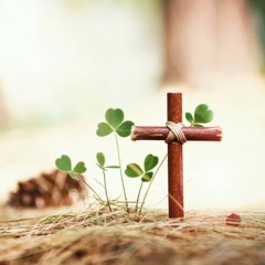 DAGIM YESHUA MY LORD (4)