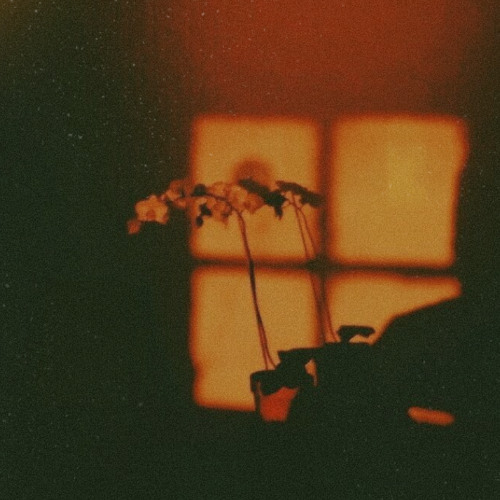 nobody else (but you)