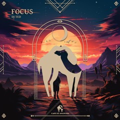 Dj Ted - Focus (Cafe De Anatolia)