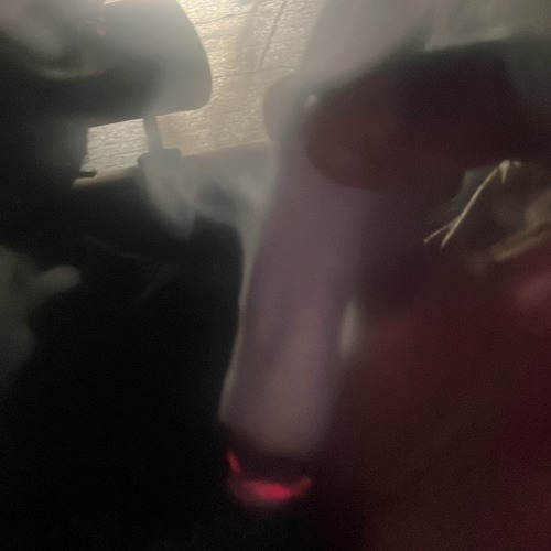 count me out(remix)