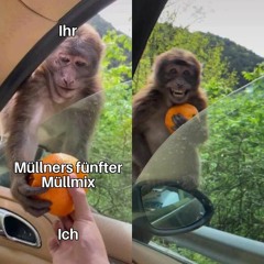 Müllners fünfter Müllmix