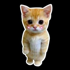 desayuna techno.wav / BREAKFAST TECHNO