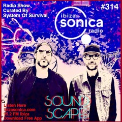 SOundScape #314 System Of Survival