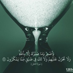 وَاصْبِرْ وَمَا صَبْرُكَ إِلَّا بِاللَّهِ