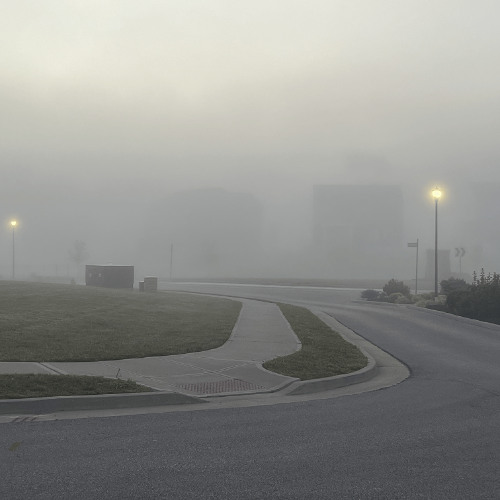 The Last Week of Autumn