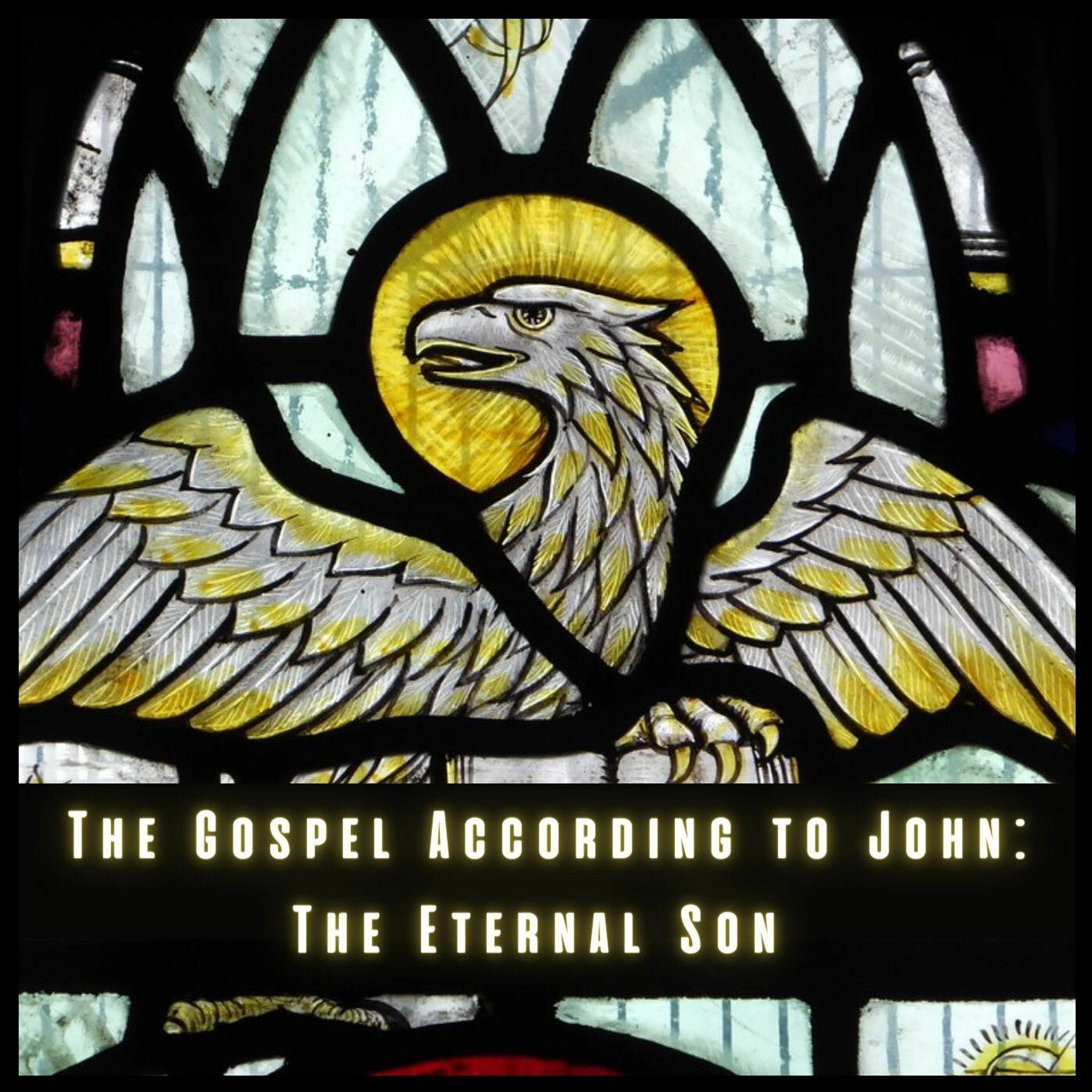 The Grace of Faith (John 12:37-43)