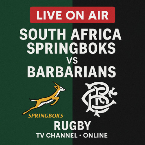 Stream episode How to watch Springboks vs Barbarians live in UK & USA ...