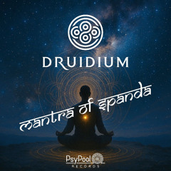 DRUIDIUM - Mantra of Spanda