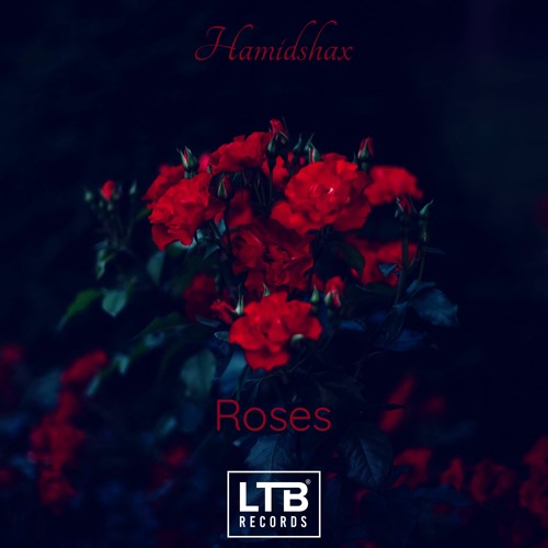 Hamidshax - Roses (Original Mix)